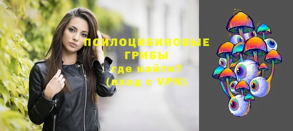 ALPHA PVP Семёнов