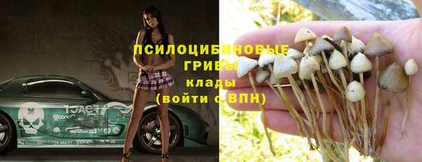 ALPHA PVP Семёнов